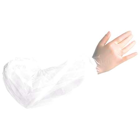 Image de MANCHETTE ELASTIQUE BLANCHEX100