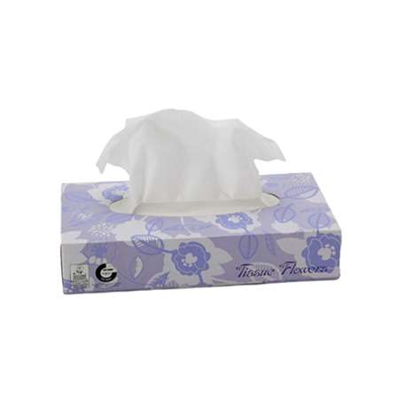 Image de BOITE DE MOUCHOIRS-2 PLIS-X 100-21X20 CM-08900-DI